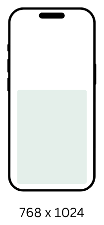 768x1024 video ad size